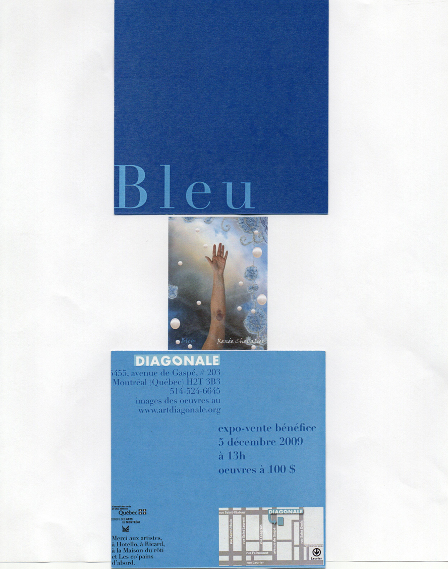 2009-Bleu-carton-et-oeuvre-Diagonale.jpg - 673,3 KB