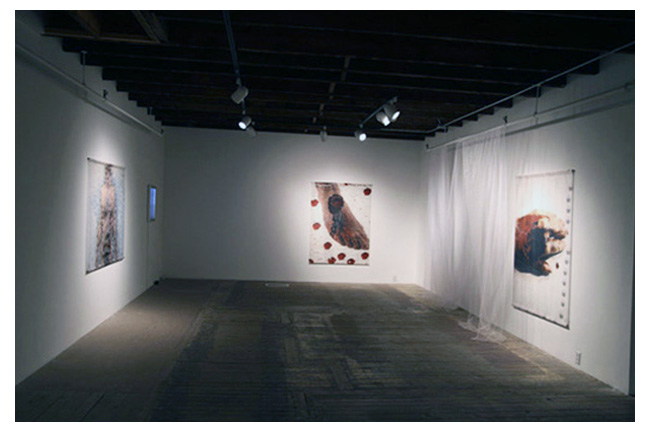   Stigmates II, cr�ations num�riques imprim�es sur fibre synth�tique, Galerie Art M�r, Montr�al 