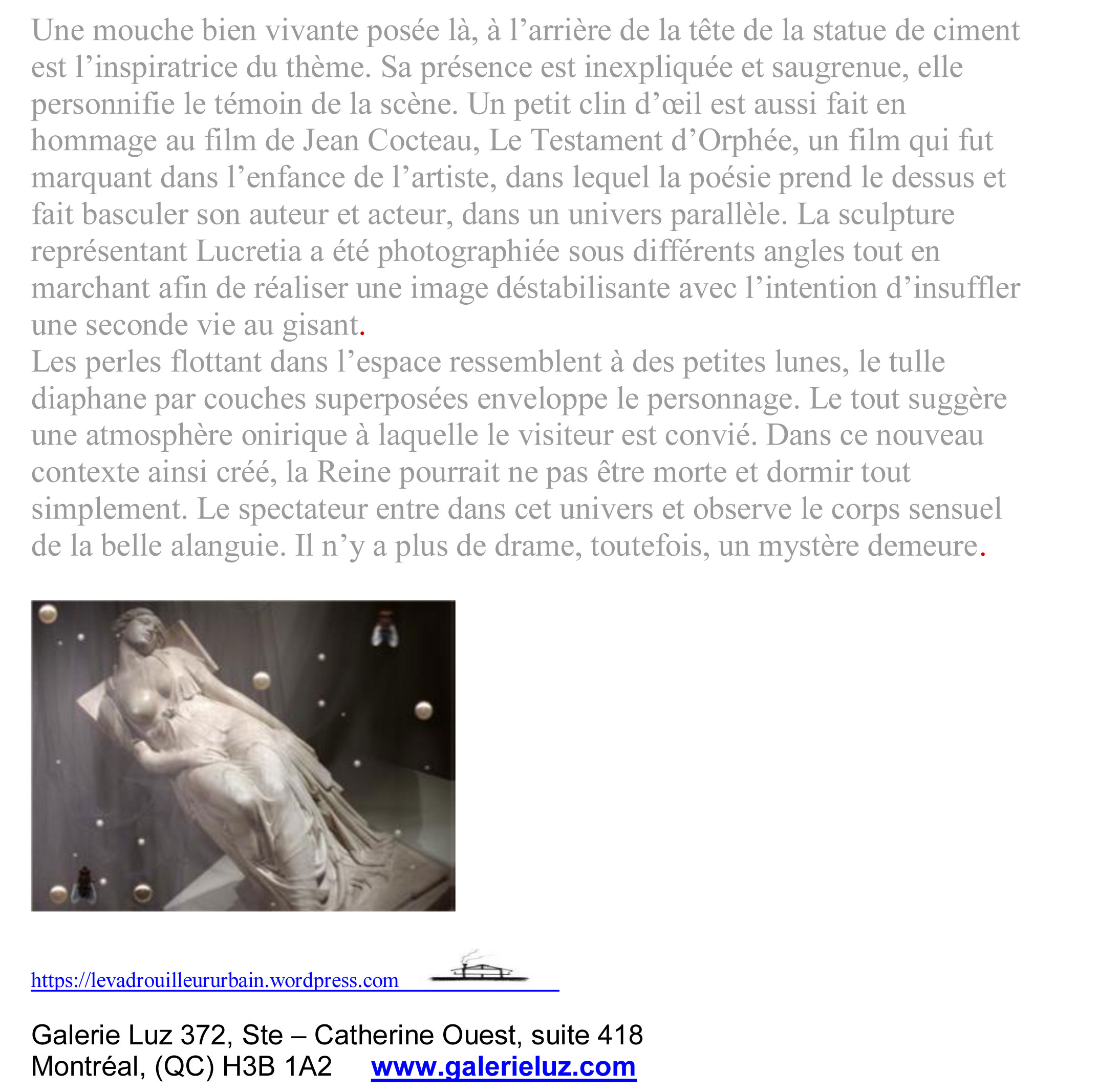 La-Vierge-a-la-mouche2011-Galerie-Luz-2.jpg - 430.7 KB