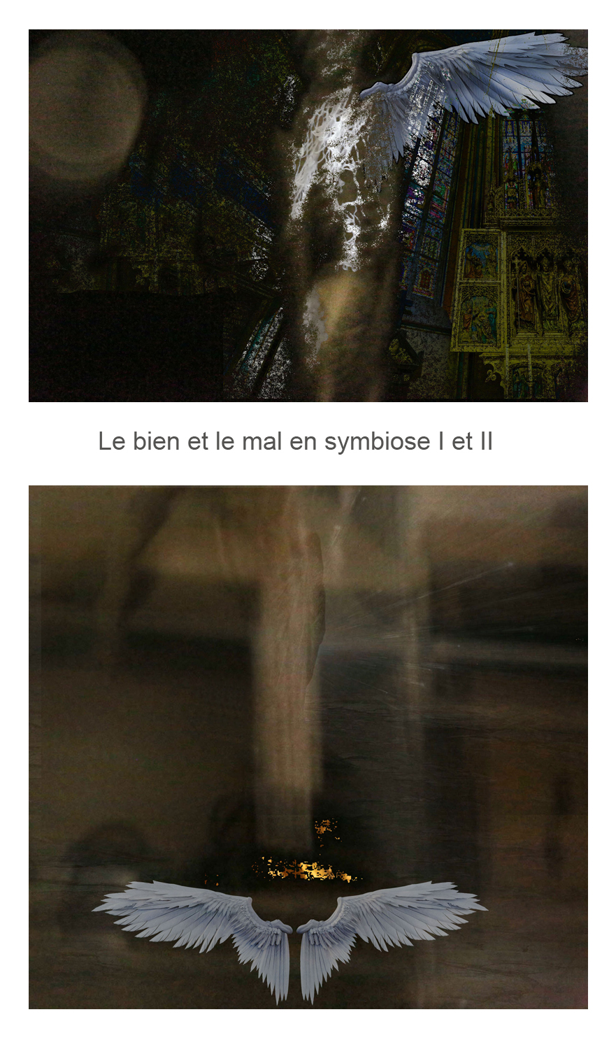Le bien et le mal I et II.jpg - 815,7 KB