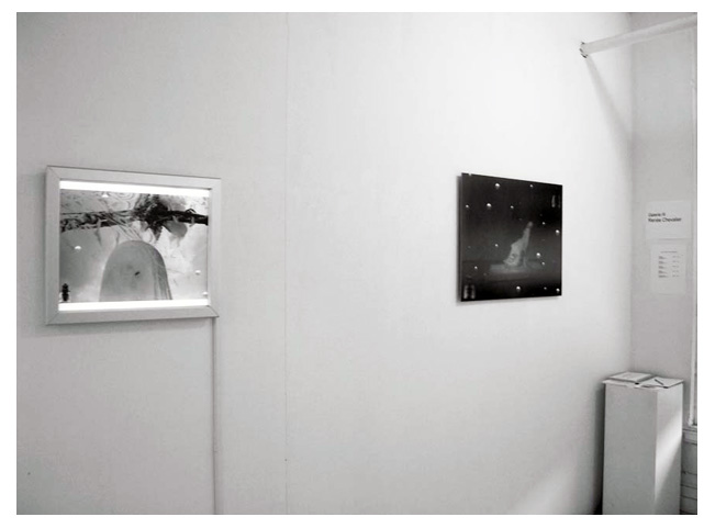   La Vierge � la mouche, Stigmates III, Installation, Galerie Luz, Le Belgo, Montr�al, Qu�bec  